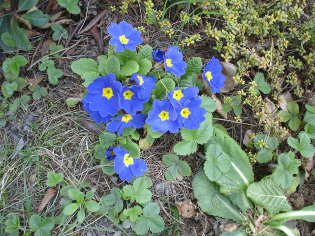 0704 20