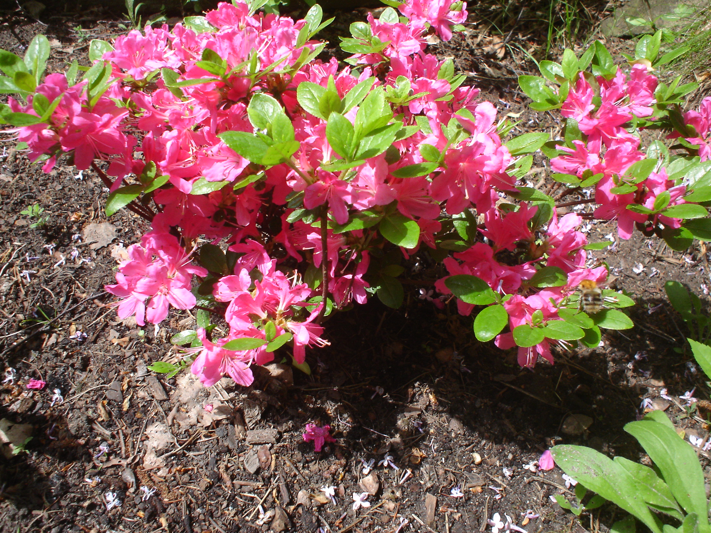0905 045